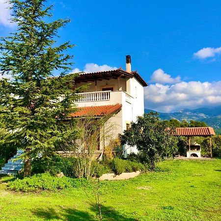 Villa Vasiliki Paliouras Extérieur photo