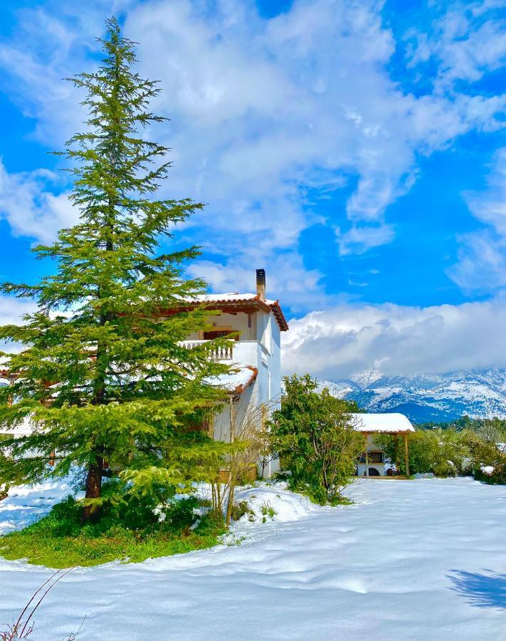 Villa Vasiliki Paliouras Extérieur photo