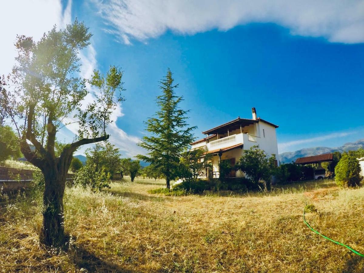 Villa Vasiliki Paliouras Extérieur photo