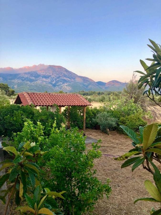 Villa Vasiliki Paliouras Extérieur photo